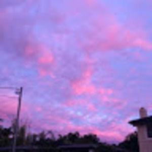 Meet your Posher, Toni